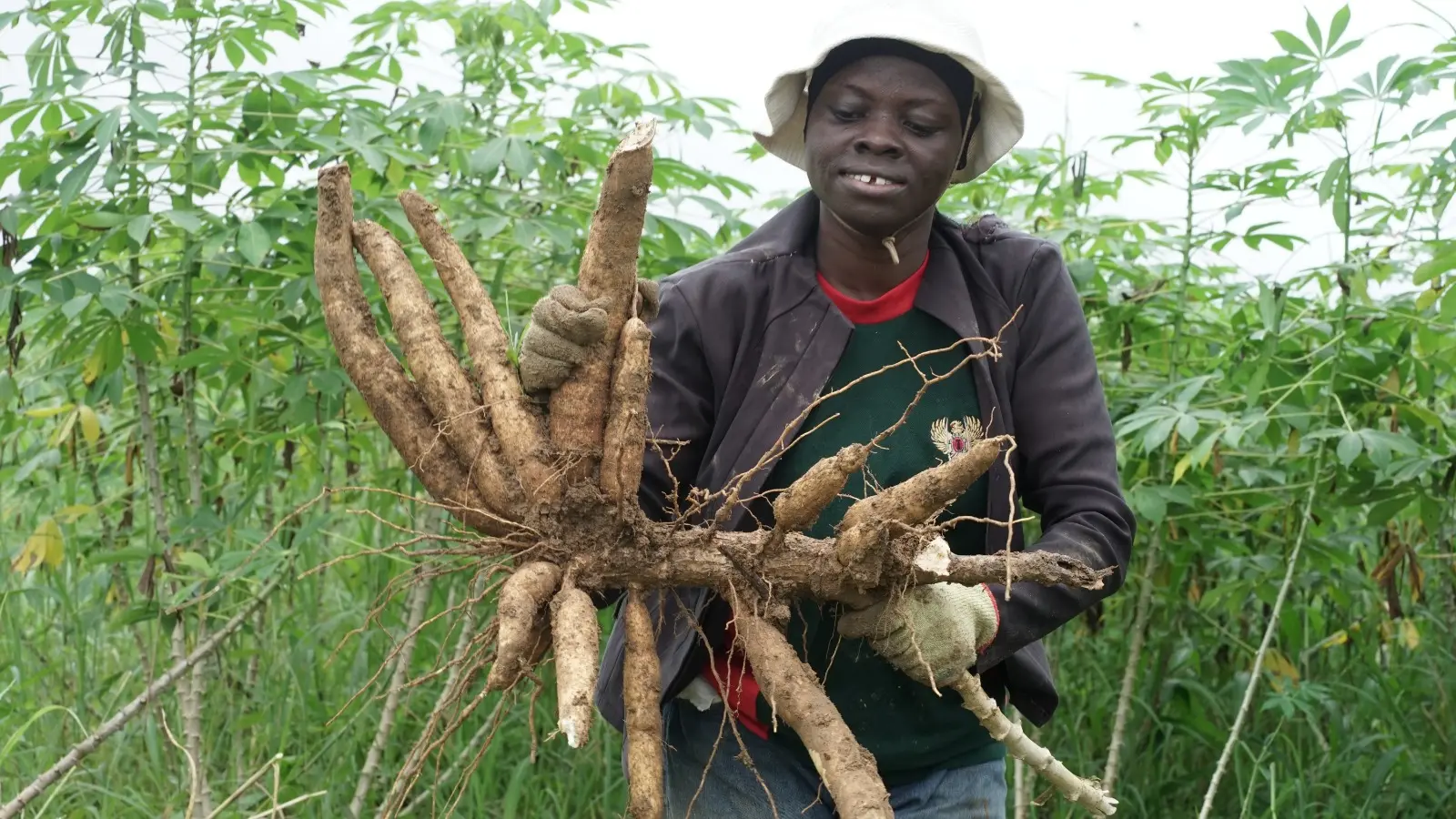WOMAN WITH CASSAVA